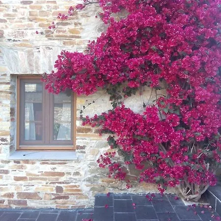 Casa Crisanta *